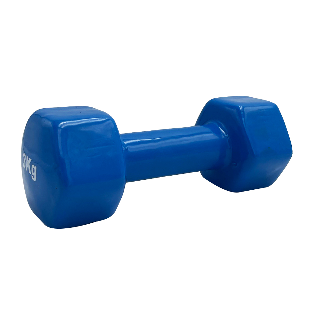 VINYL DUMBBELL ΑΛΤΗΡΑΣ ΒΙΝΥΛΙΟΥ 3kg (BLUE) LIGASPORT