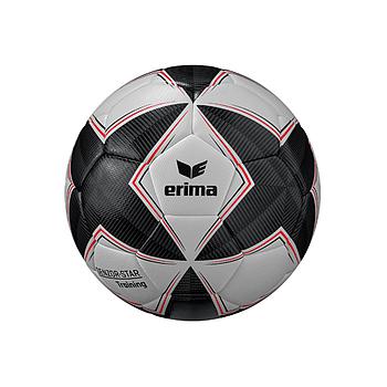 SENZOR-STAR Training