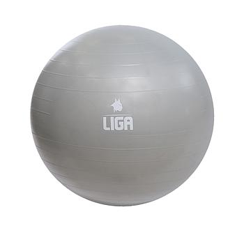 Gym ball 75cm grey LIGASPORT