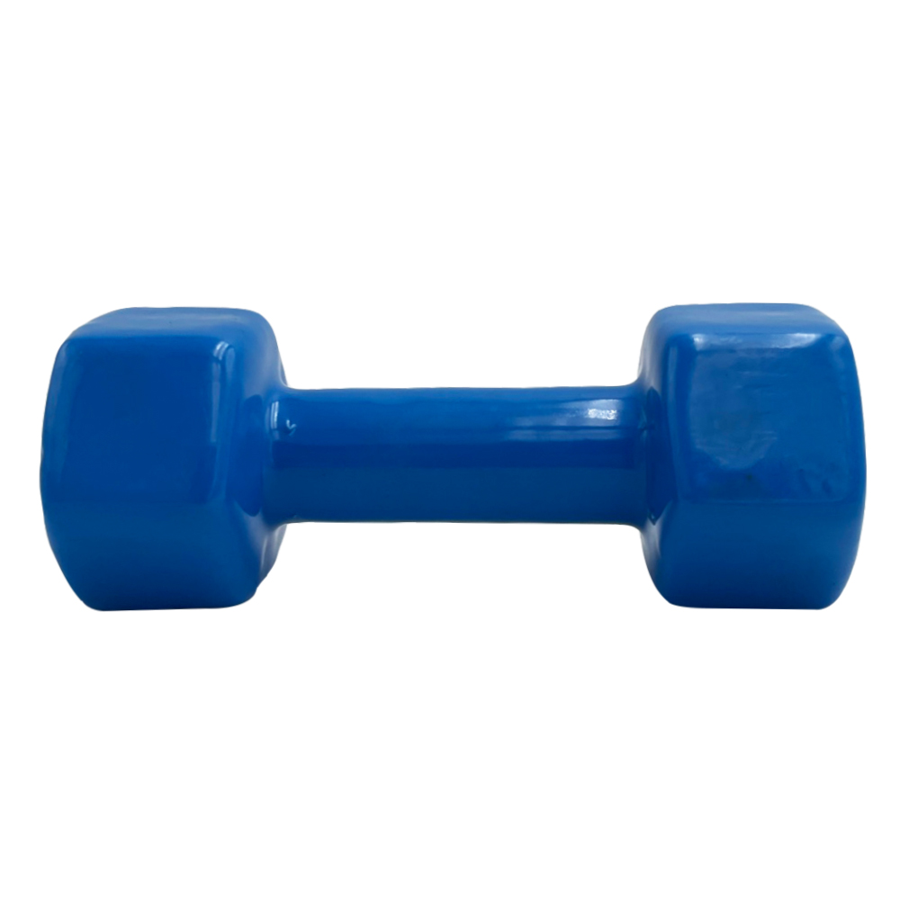 VINYL DUMBBELL ΑΛΤΗΡΑΣ ΒΙΝΥΛΙΟΥ 3kg (BLUE) LIGASPORT