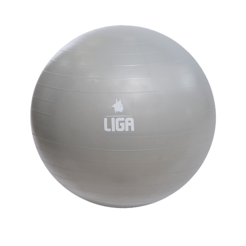 Gym ball 75cm grey LIGASPORT