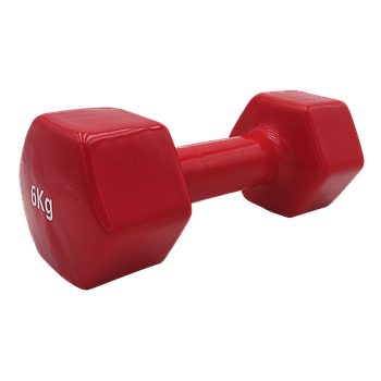 VINYL DUMBBELL ΑΛΤΗΡΑΣ ΒΙΝΥΛΙΟΥ 6kg (χρώμα κόκκινο) LIGASPORT